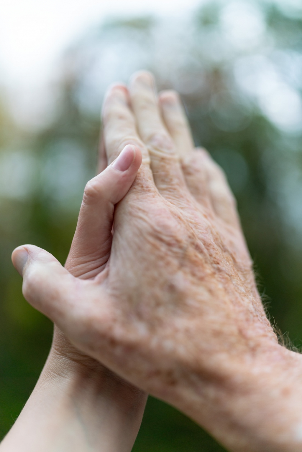 Elizabeth Hopkins Here 2023 1100