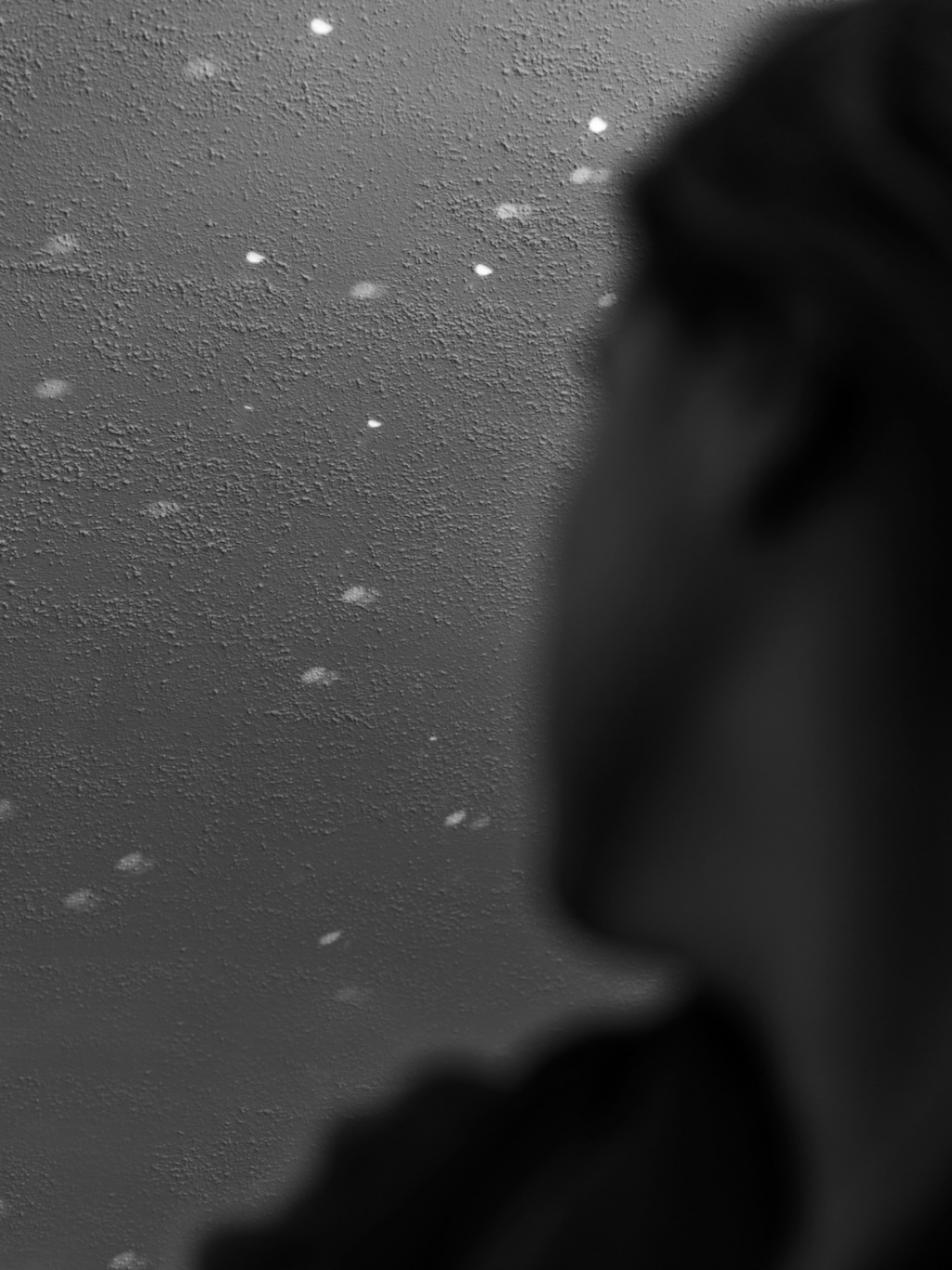 Elizabeth Hopkins Wherethe Cosmos Is Felt 2024 1100