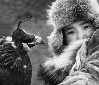 Klink Thumbnail 350x300